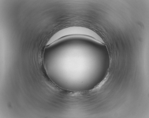 X0000116040186200912041820