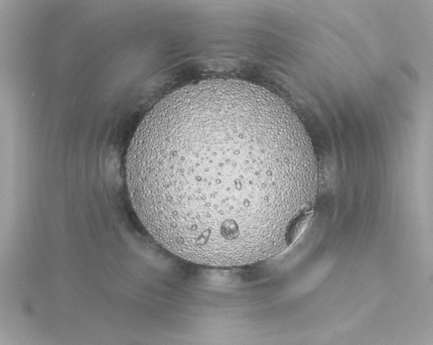 X0000116040187200912041820