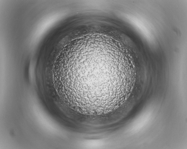 X0000116040189200912041820