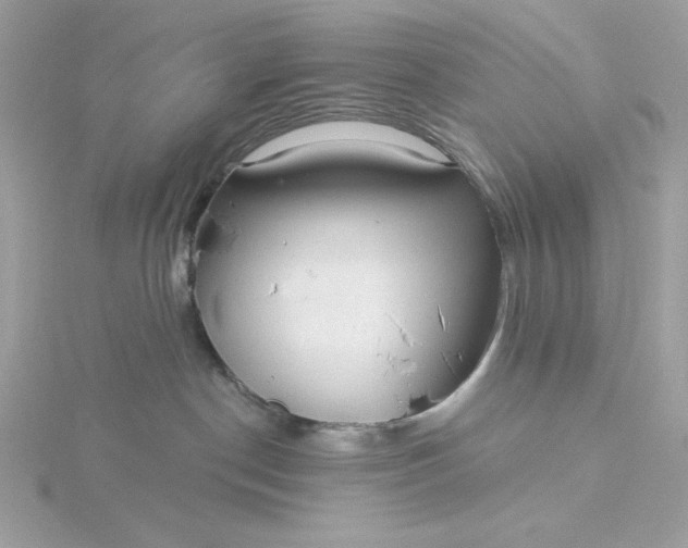 X0000116040190200912041820