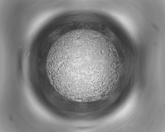 X0000116040191200912041820