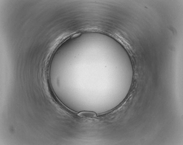 X0000116040193200912041819