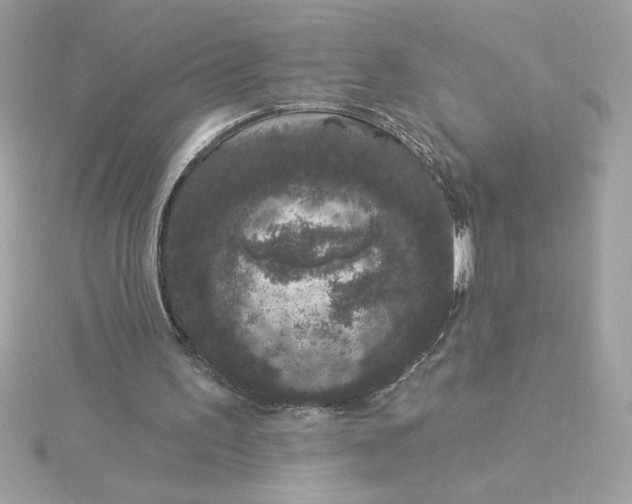 X0000116040195200912041819