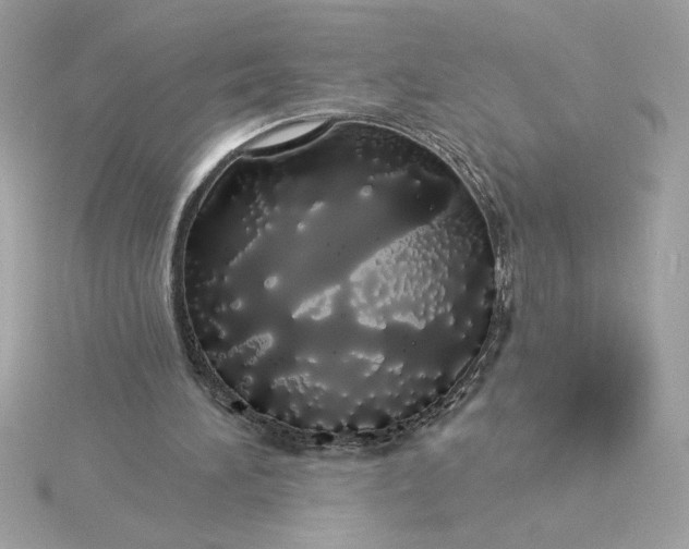 X0000116040196200912041819