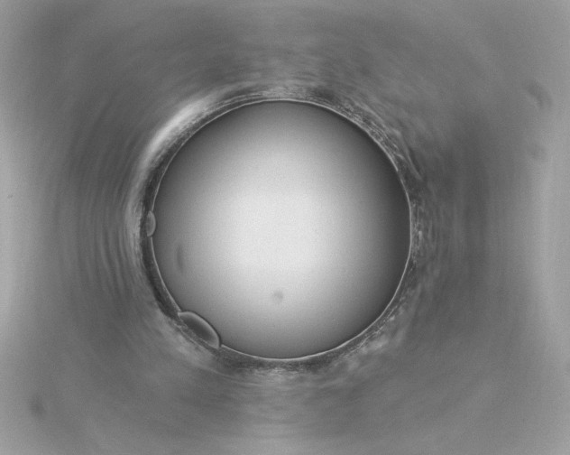 X0000116040197200912041819