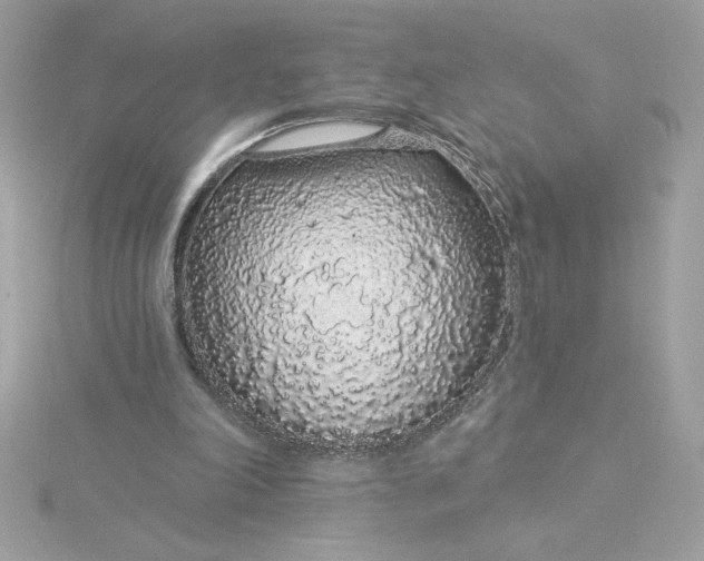 X0000116040198200912041819