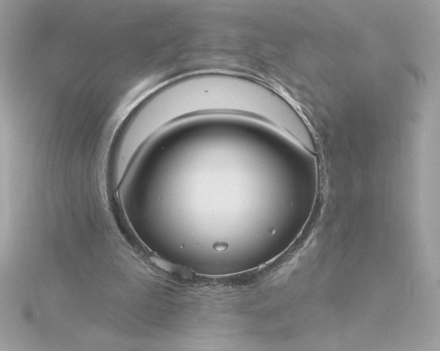 X0000116040199200912041819