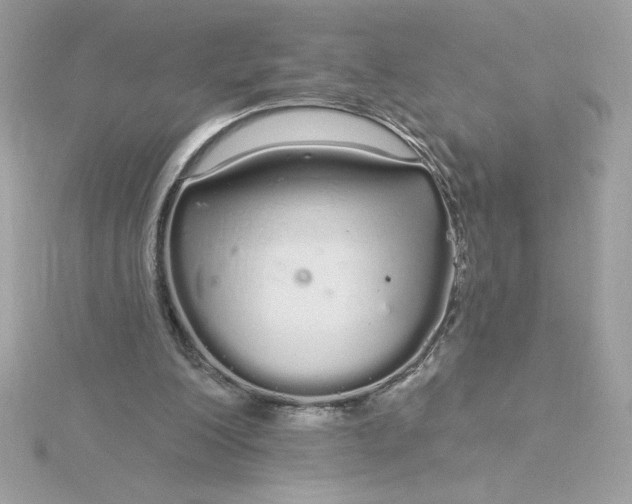 X0000116040200200912041819