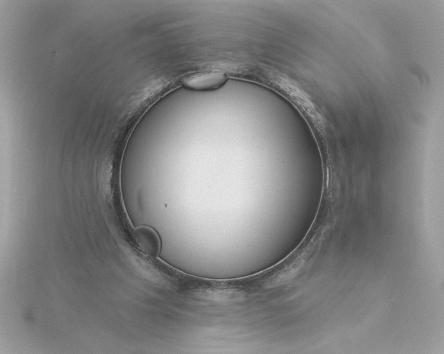 X0000116040201200912041819