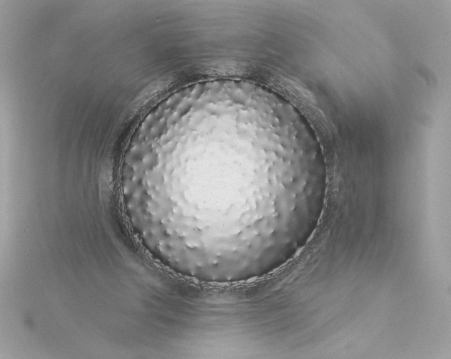 X0000116040202200912041819