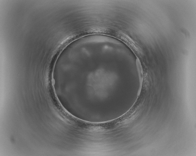 X0000116040203200912041819