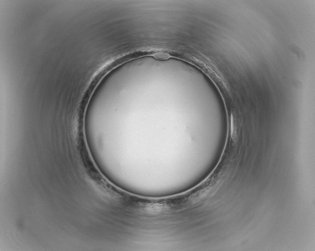 X0000116040204200912041819