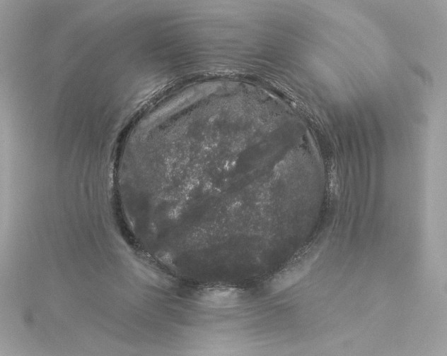 X0000116040206200912041819