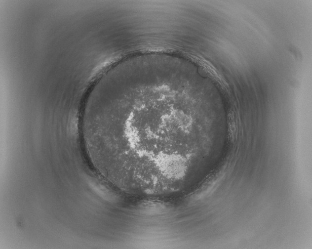 X0000116040207200912041819