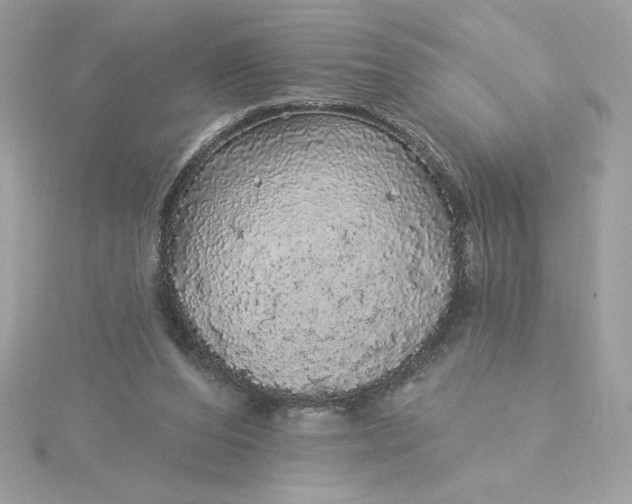 X0000116040208200912041819