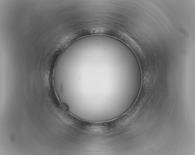 X0000116040209200912041819