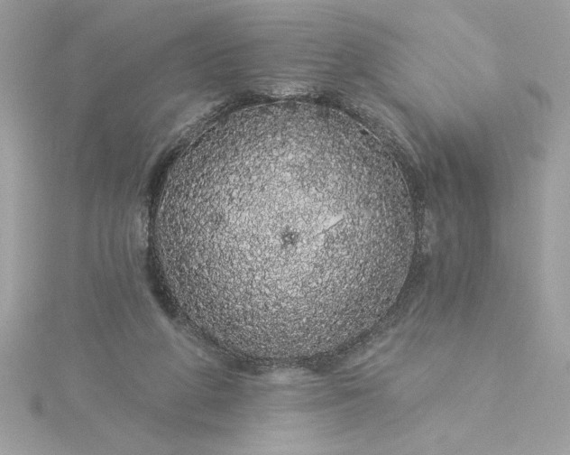 X0000116040210200912041819