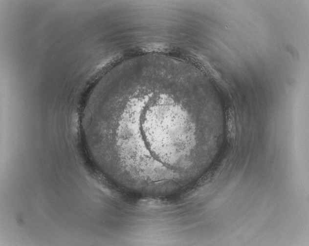 X0000116040211200912041819