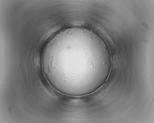 X0000116040212200912041819