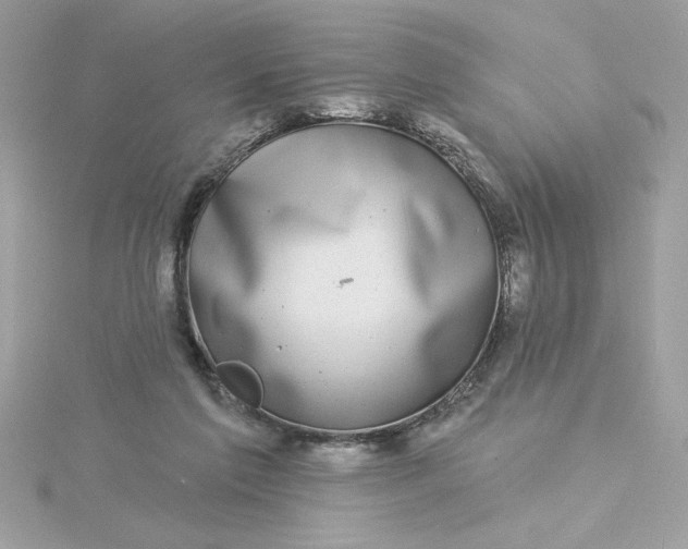 X0000116040213200912041819