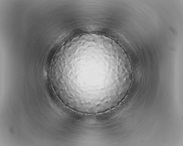 X0000116040214200912041819