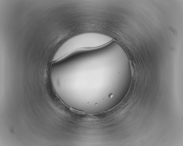 X0000116040215200912041819