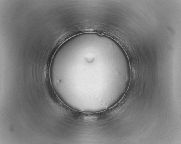 X0000116040216200912041819