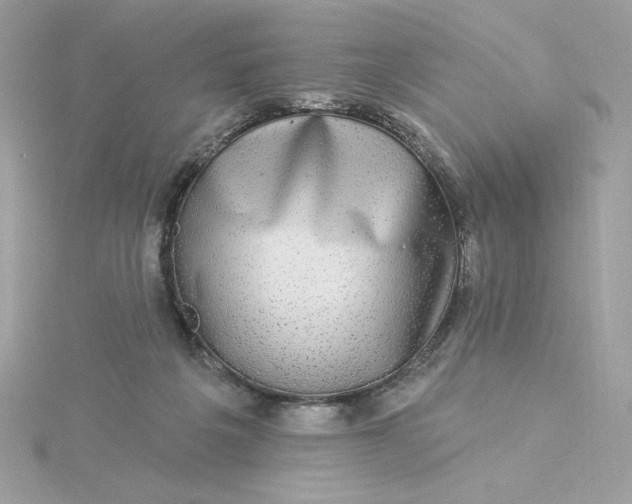 X0000116040217200912041819