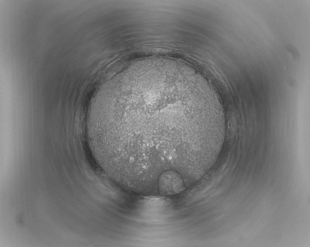 X0000116040218200912041819