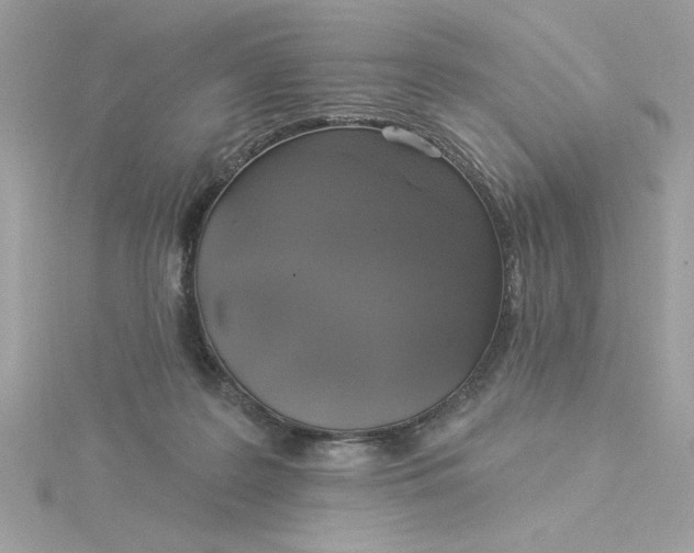 X0000116040219200912041819