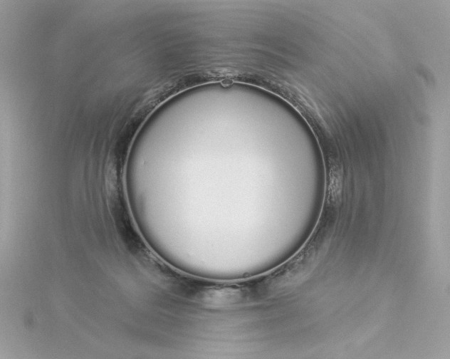 X0000116040220200912041819