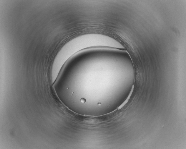 X0000116040221200912041819