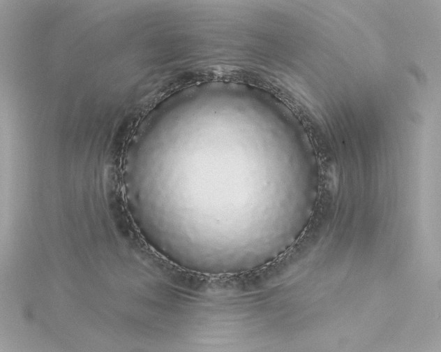 X0000116040222200912041819