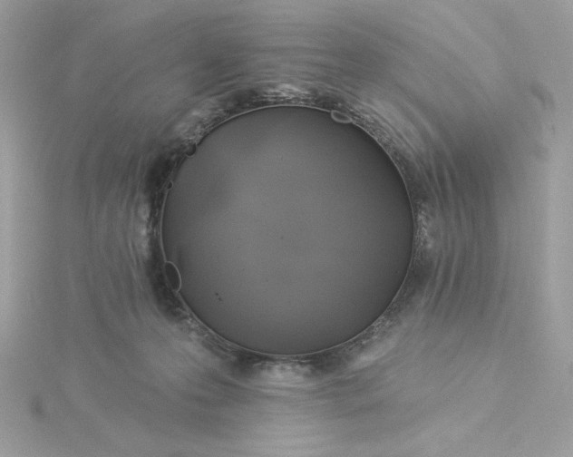 X0000116040223200912041819