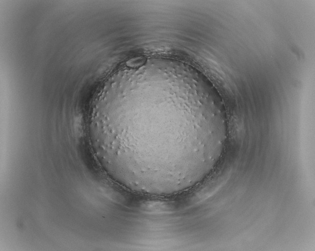 X0000116040224200912041819