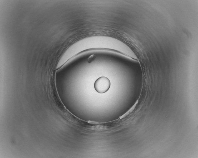 X0000116040225200912041819