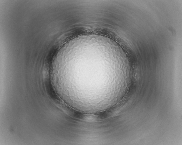 X0000116040226200912041819