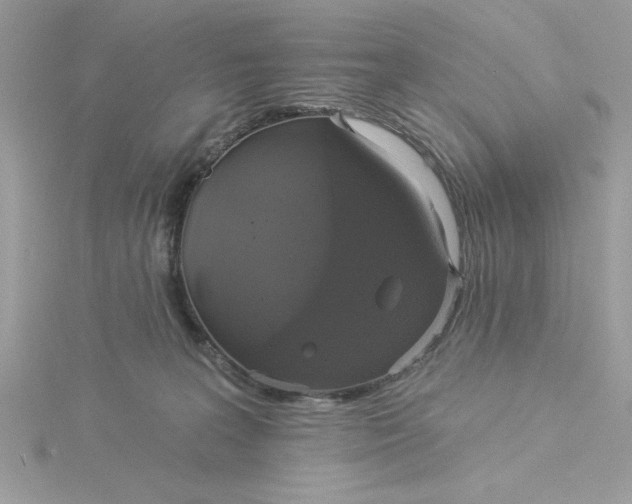 X0000116040227200912041819