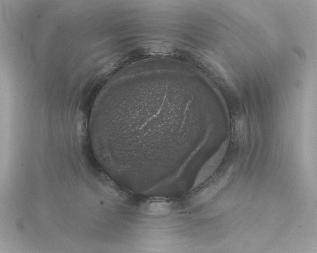 X0000116040228200912041819