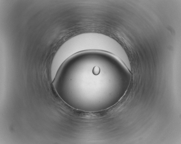 X0000116040229200912041819