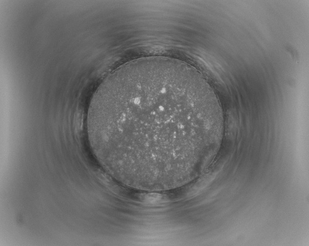 X0000116040230200912041819