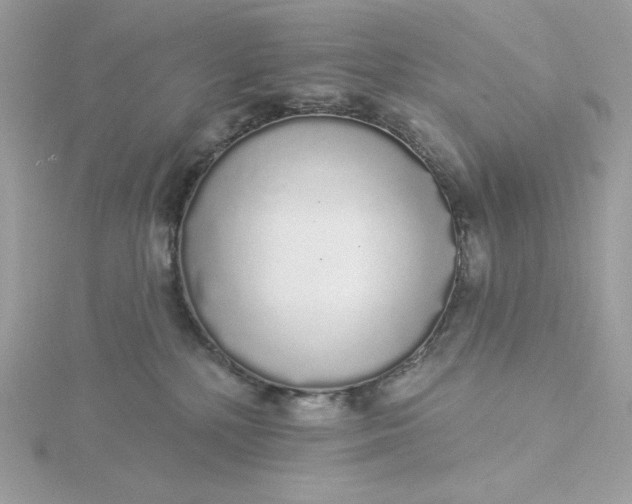 X0000116040232200912041818