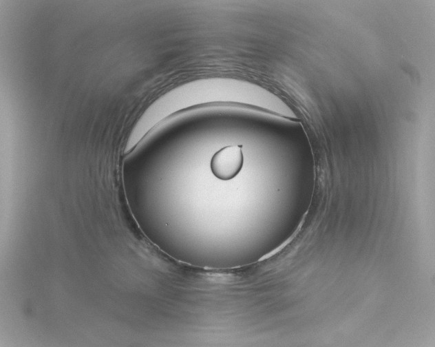 X0000116040233200912041818