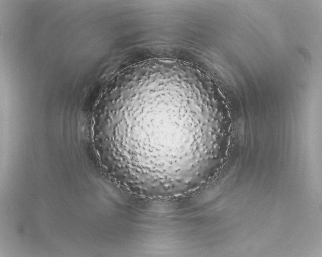 X0000116040234200912041818