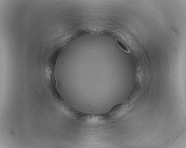 X0000116040235200912041818