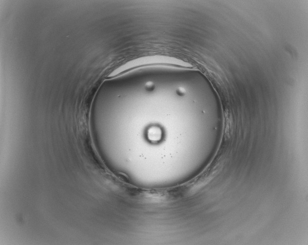 X0000116040236200912041818