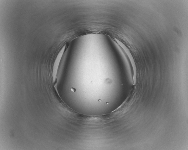 X0000116040237200912041818