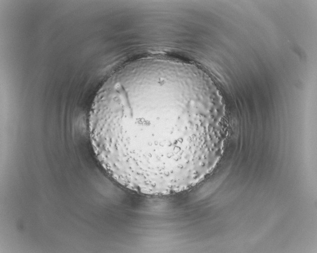 X0000116040238200912041818