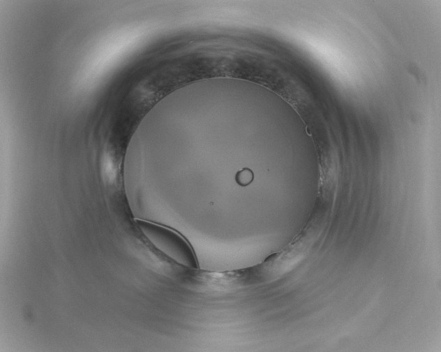 X0000116040239200912041818