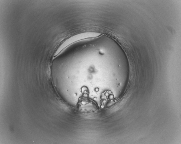 X0000116040240200912041818